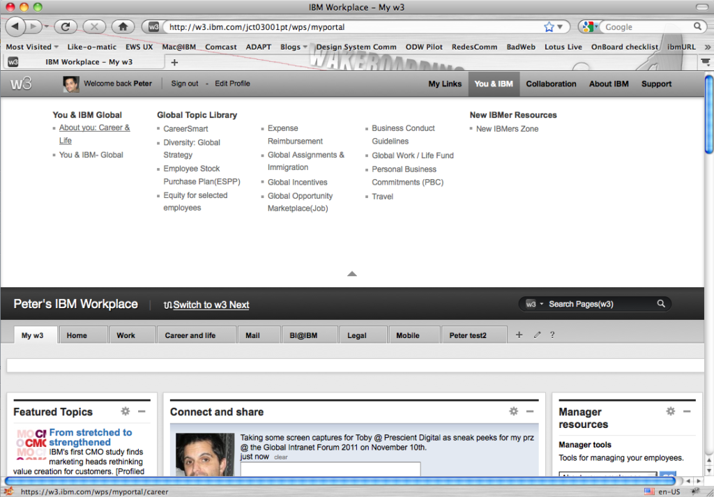 IBM Mega menu site-wide nav 2011
